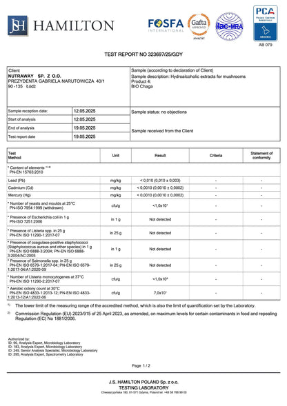 BIO Chaga : Antioxydant+