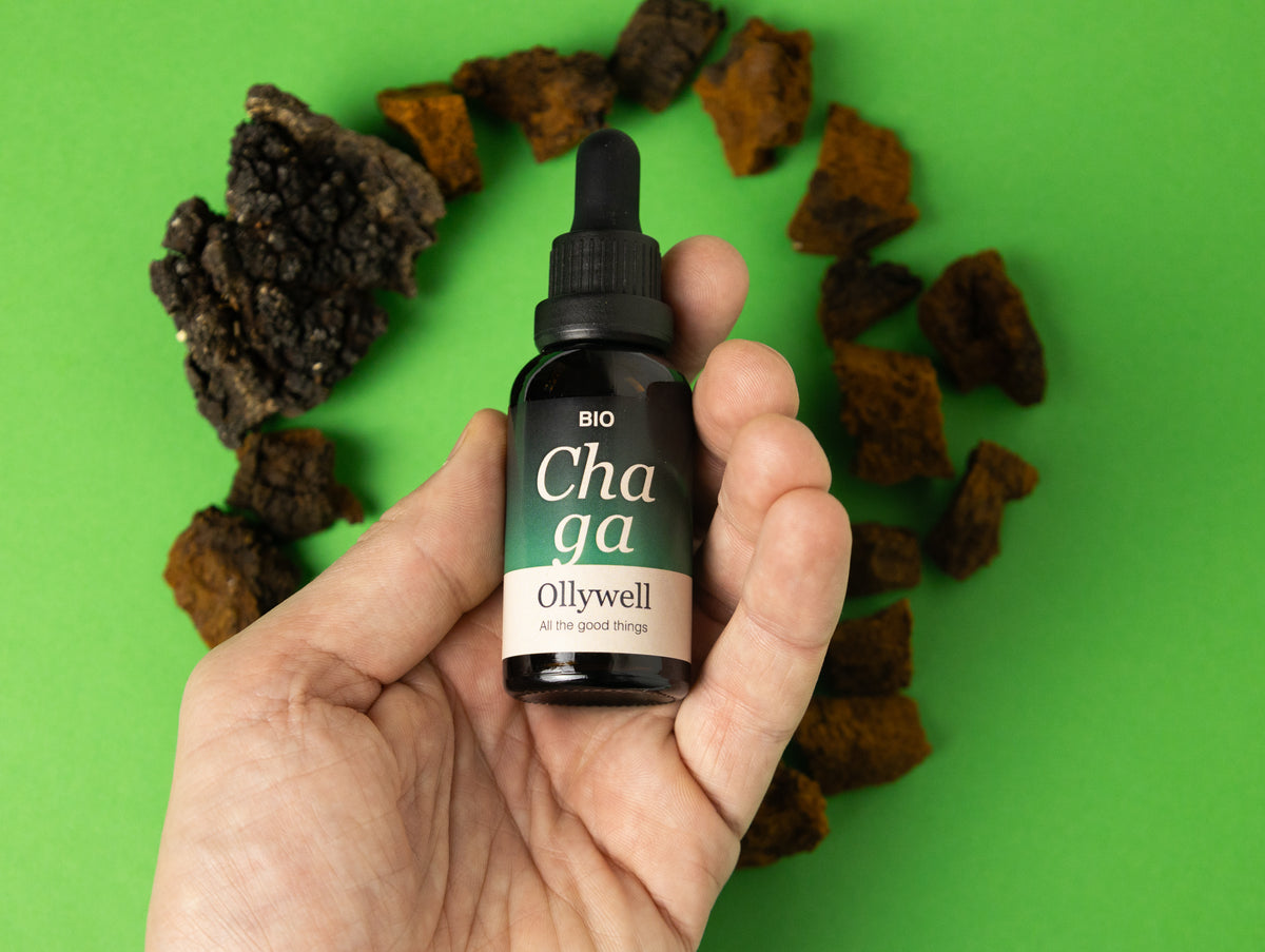 BIO Chaga : Antioxydant+
