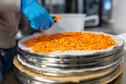 BIO Cordyceps : Énergie+