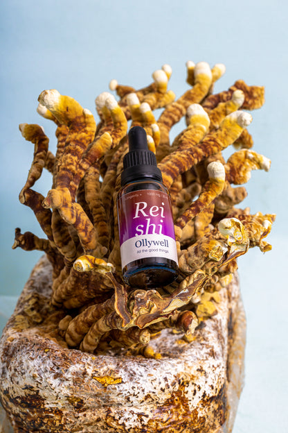 BIO Reishi : Sommeil+