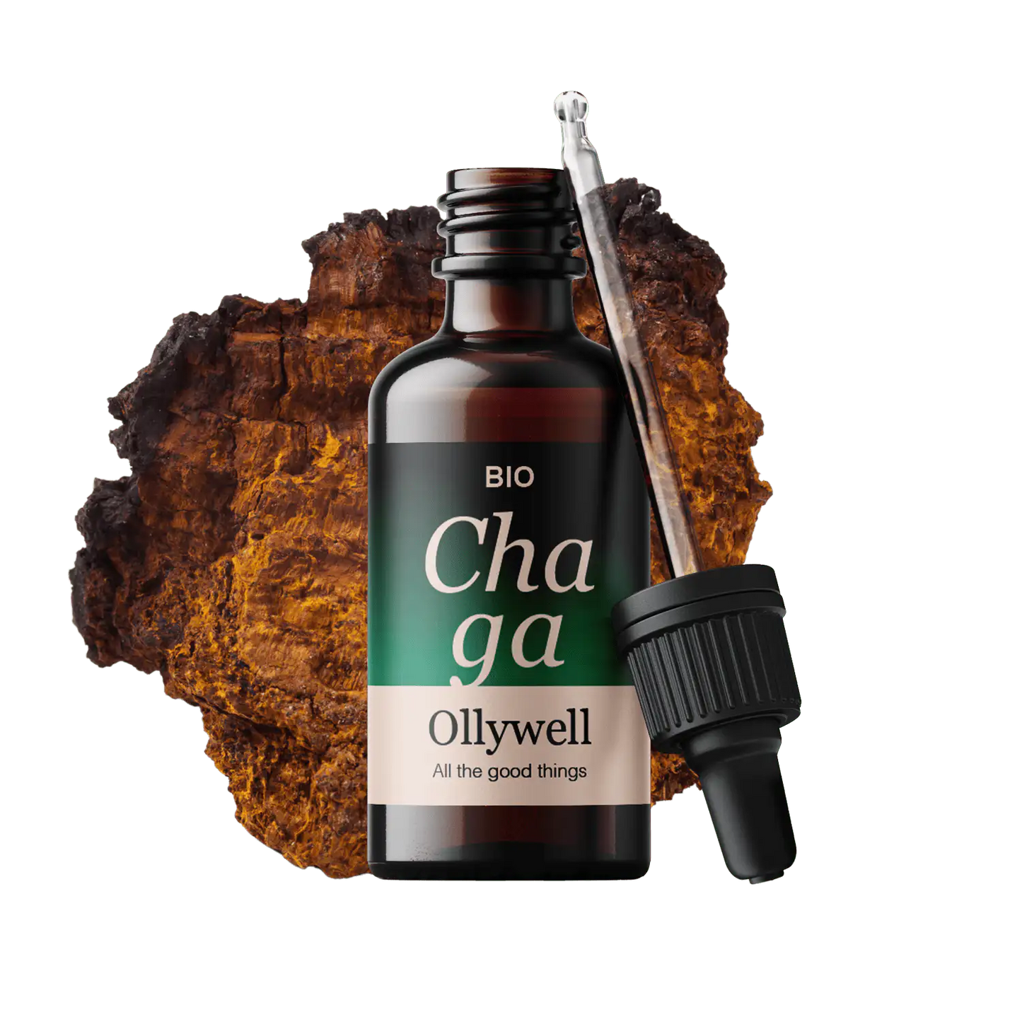 BIO Chaga : Antioxydant+