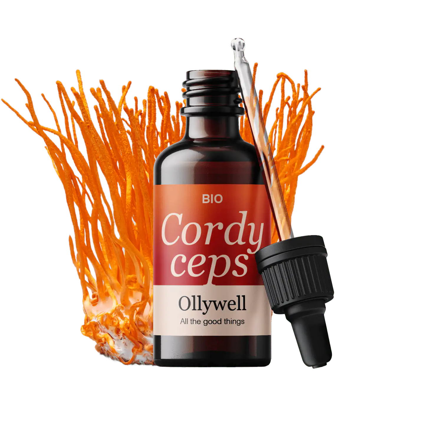 BIO Cordyceps : Énergie+