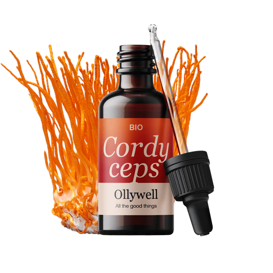 BIO Cordyceps : Énergie+